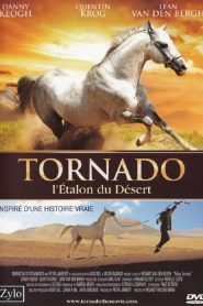 Tornado – L’étalon du désert